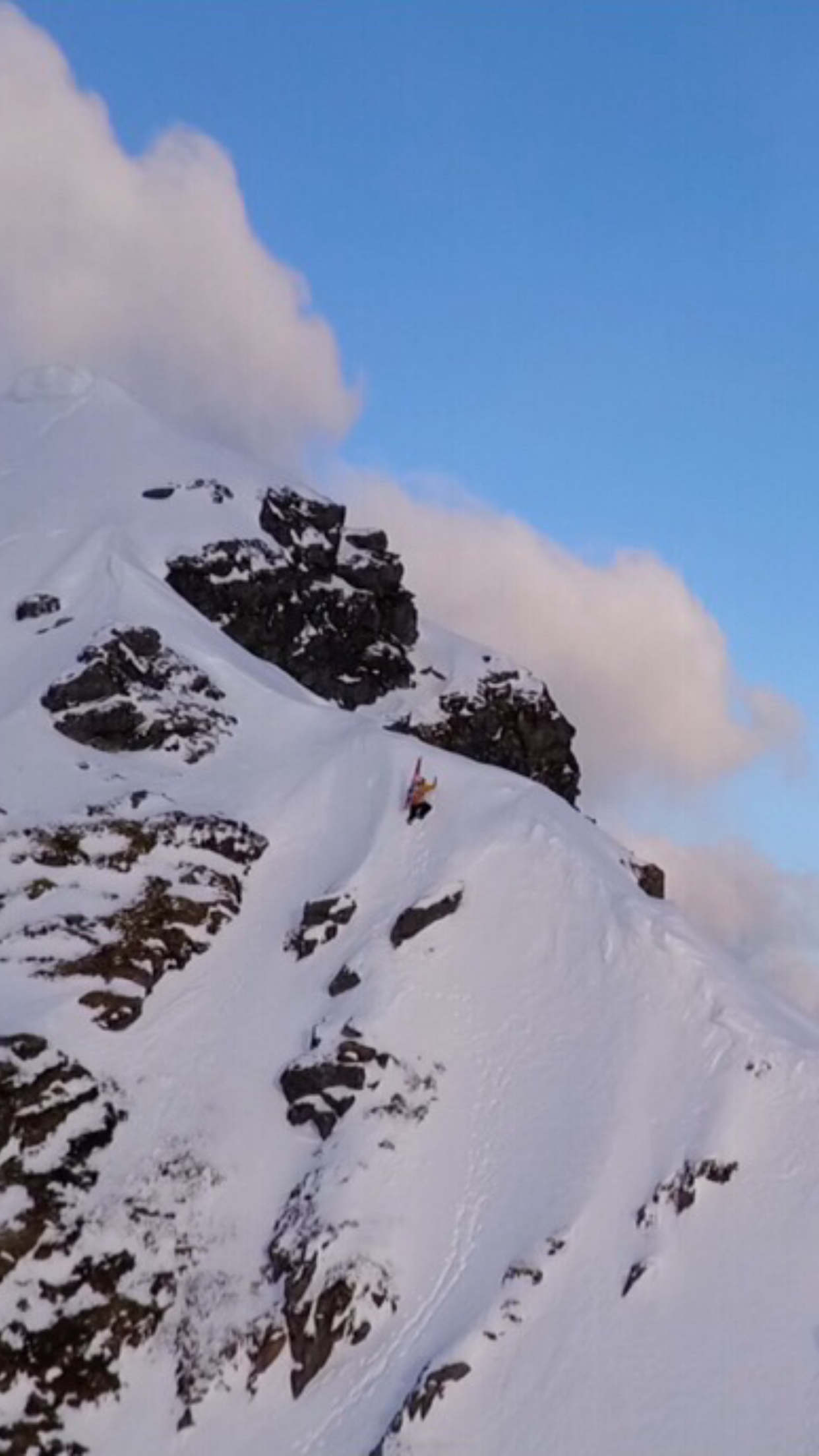 AKIRA SASAKI — AKIRA SASAKI