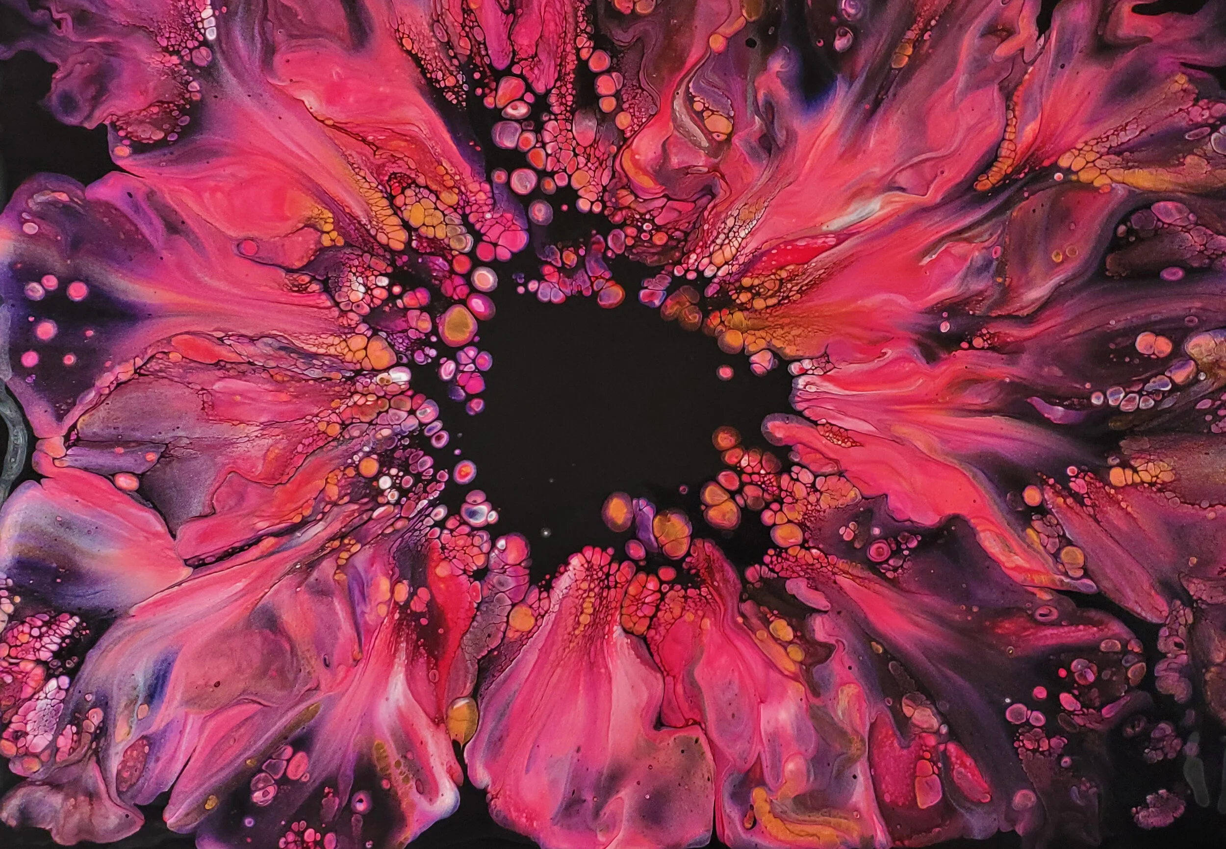 Portfolio Gallery — Harmony House Art