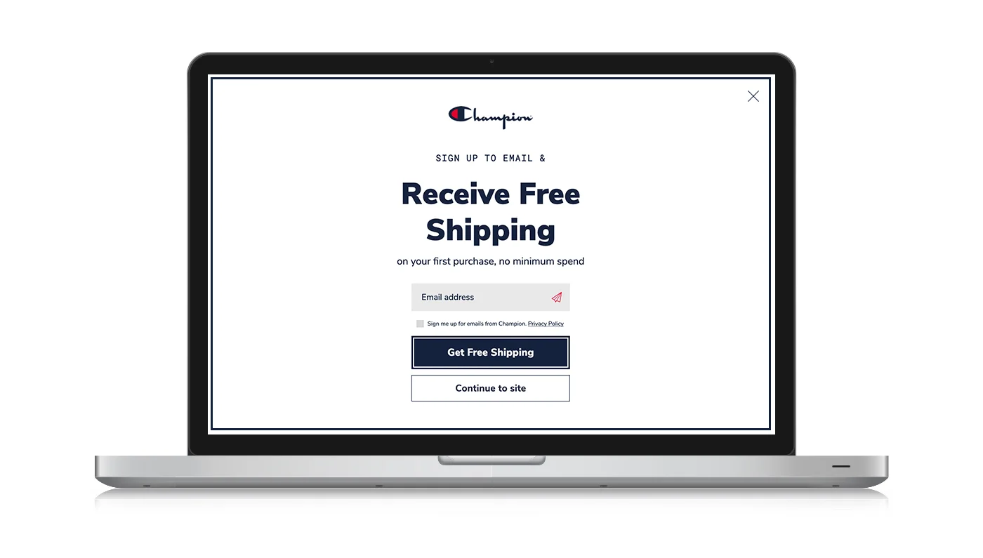 Full screen canvas entrance email capture