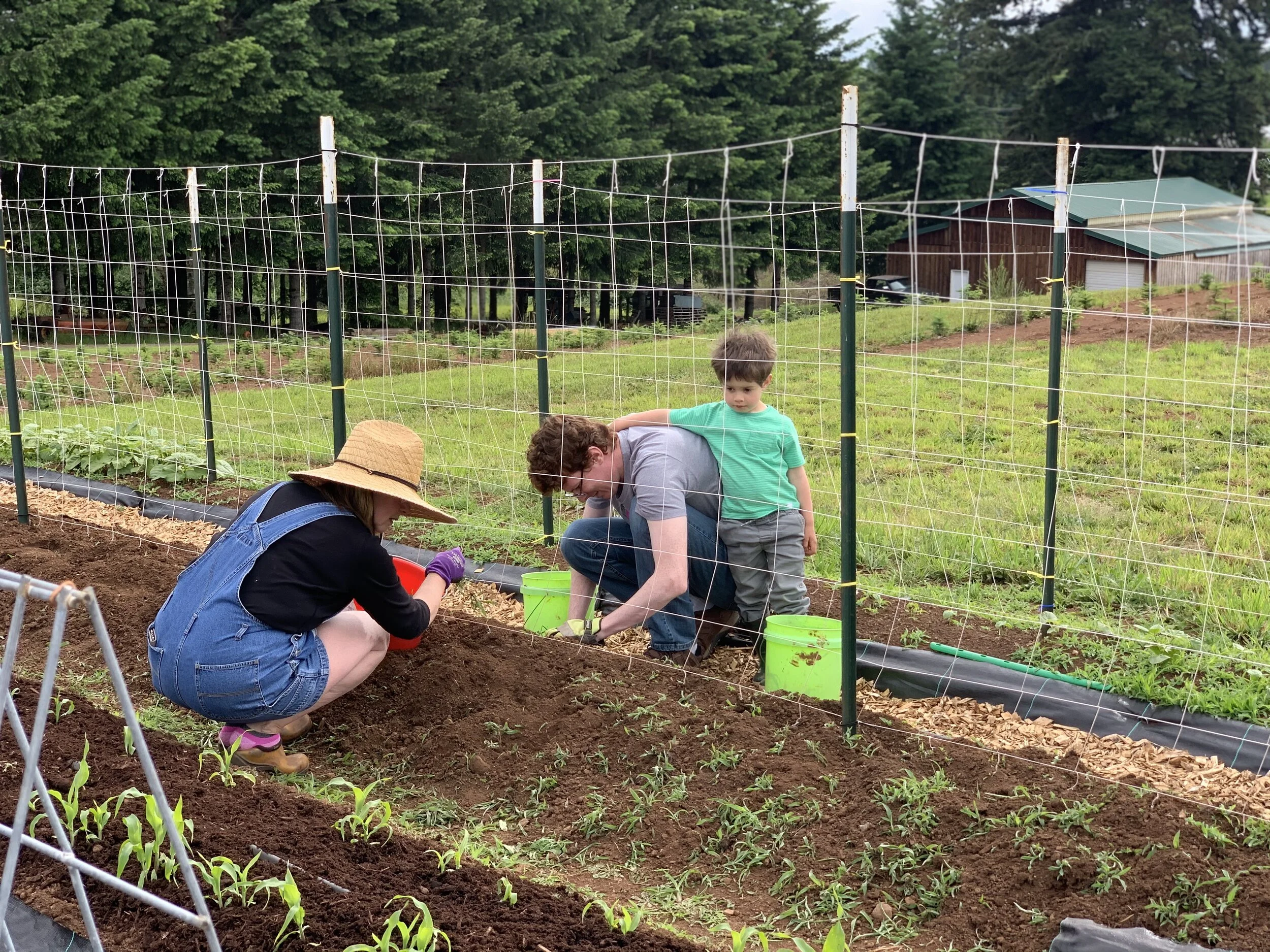 A new gardening adventure
