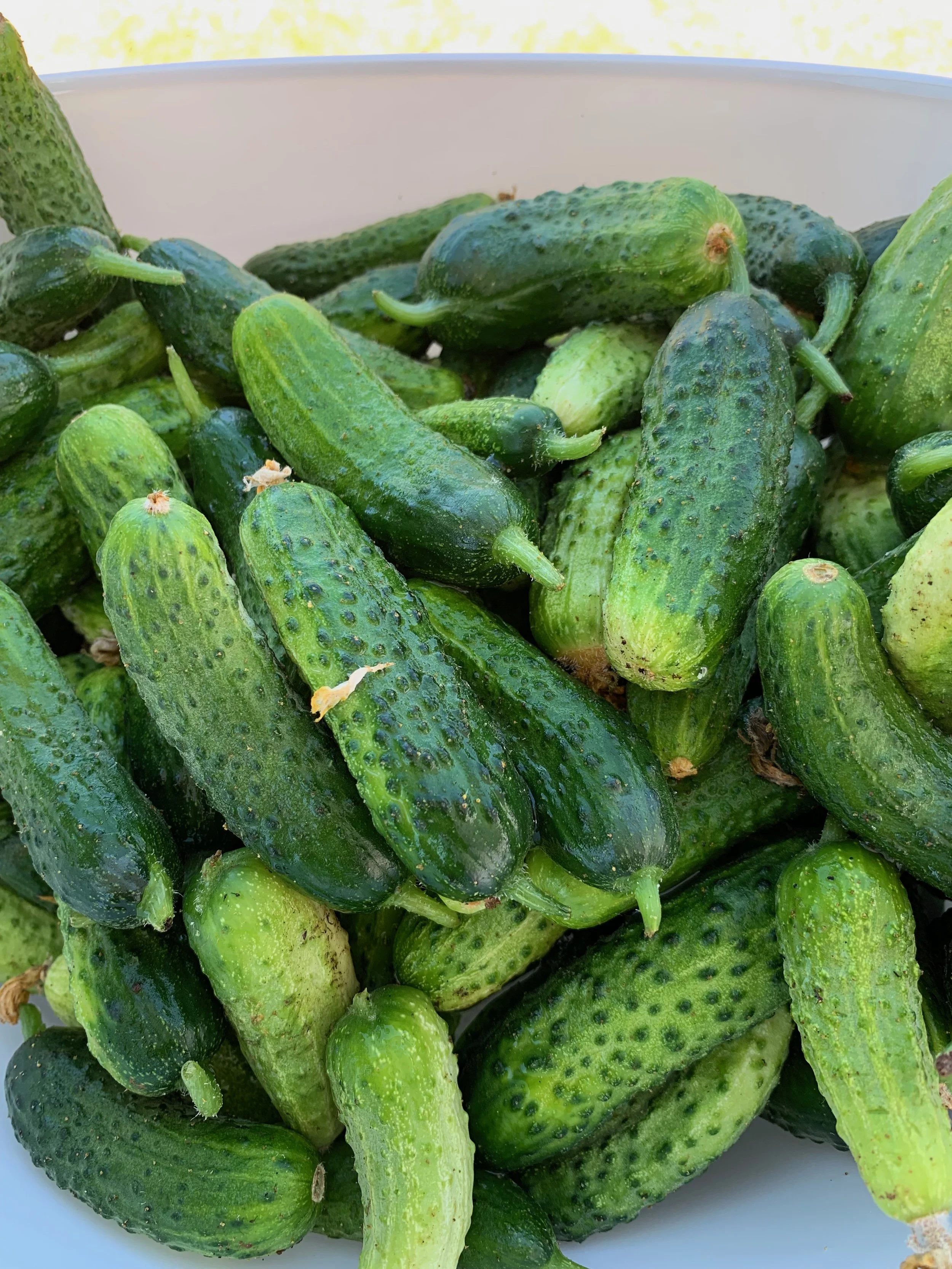 Recipe - Refrigerator Pickles
