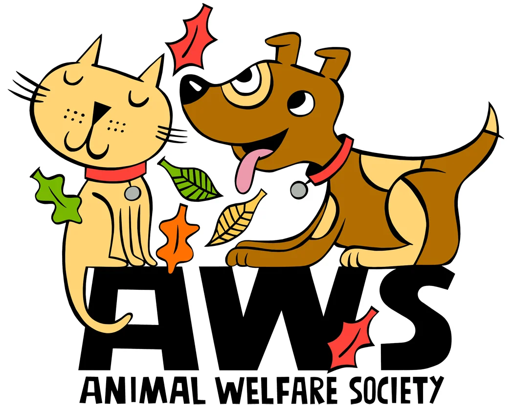 AWS-Fall-Final-web.jpg