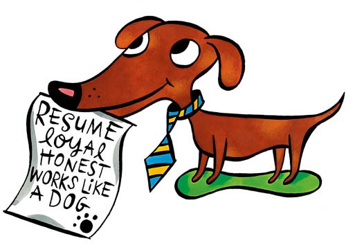 loyalpup.jpg