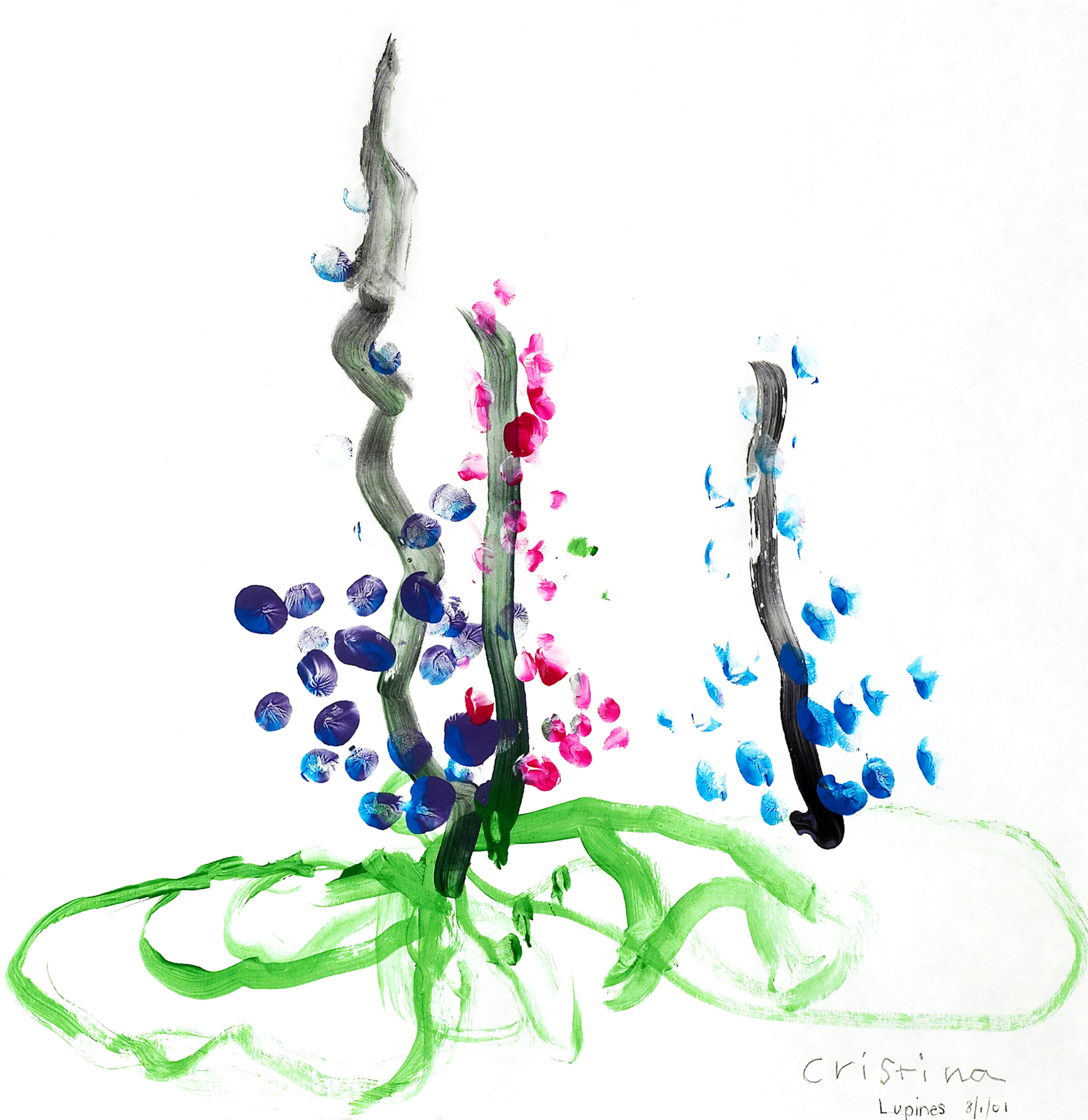Lupines