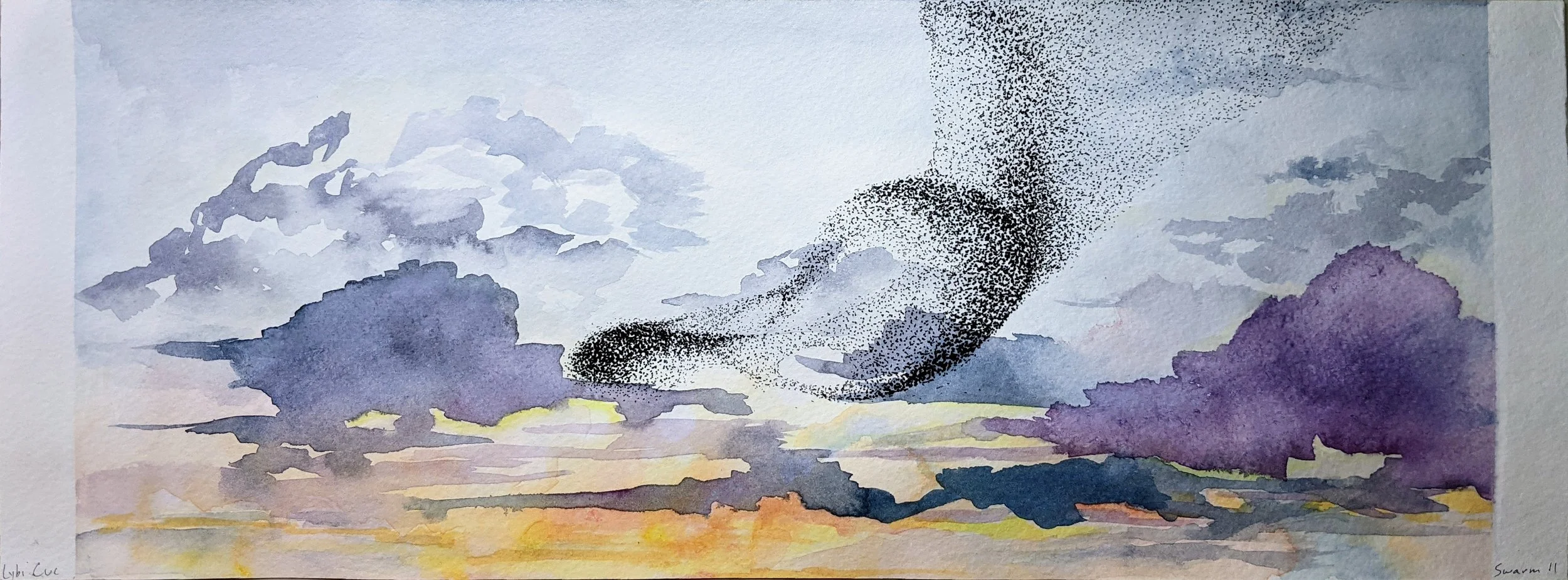 Swarm_II_Cucurullo.jpg