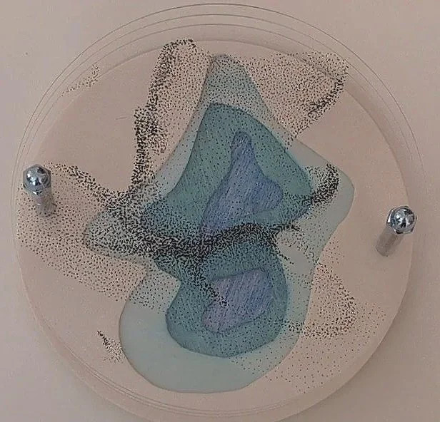 Screenshot_20260909-122020%7E2.jpg