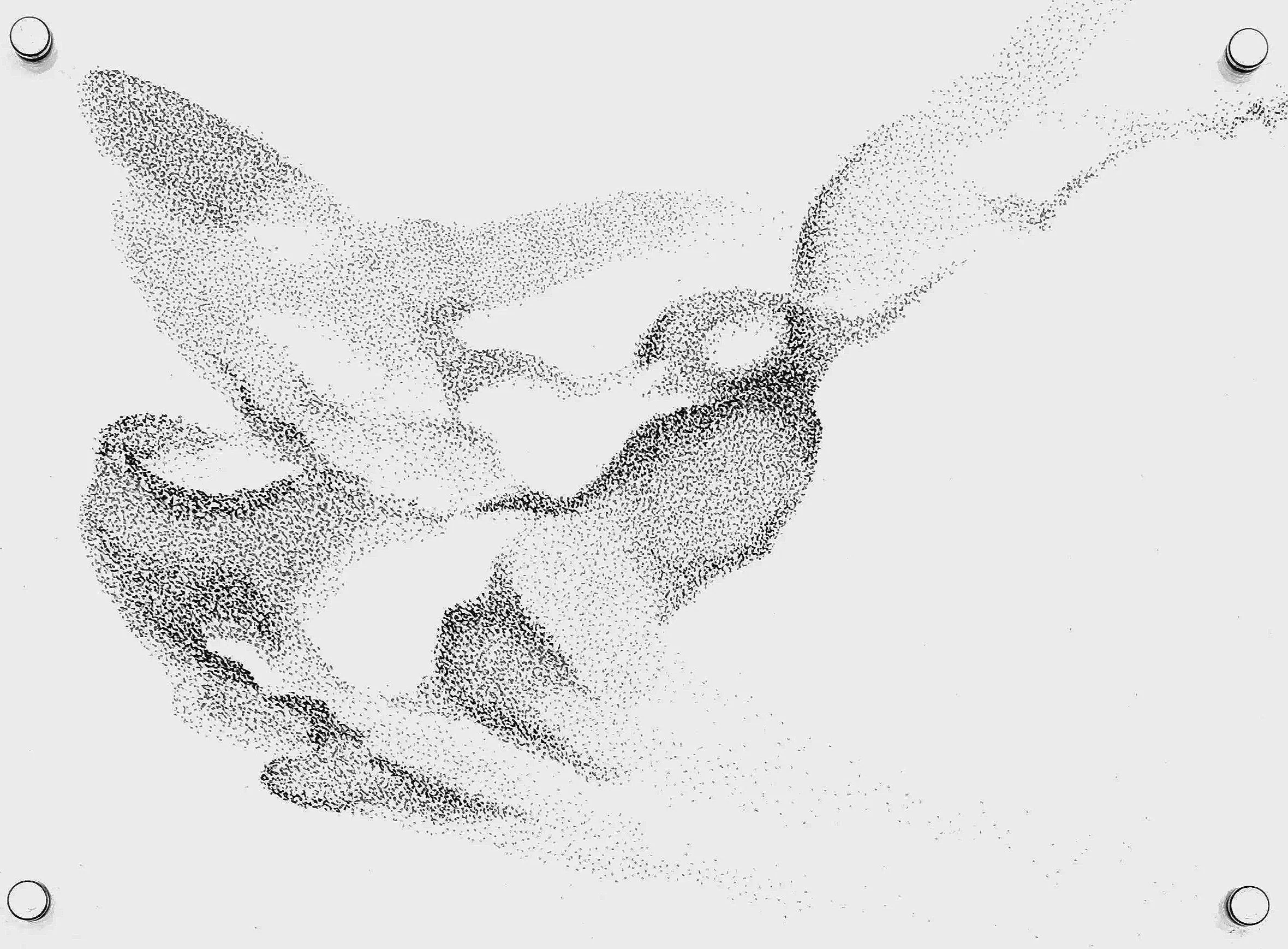PXL_20251228_163318402%7E3.jpg