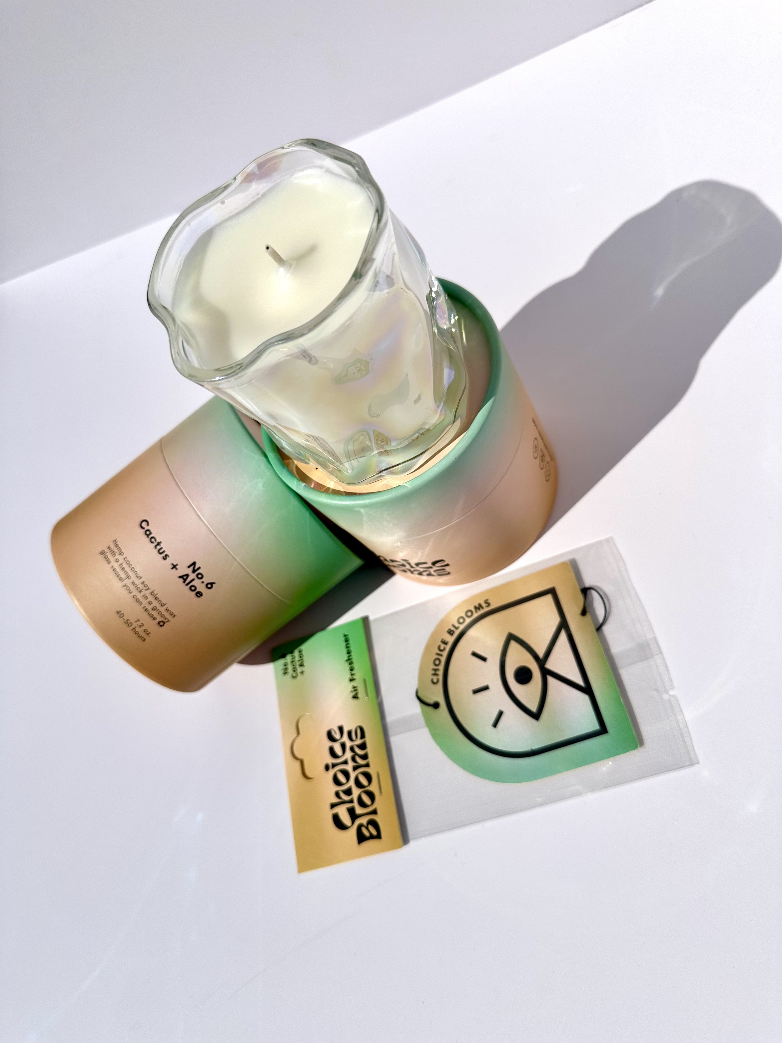 Cactus + Aloe Freshener + Candle Kit