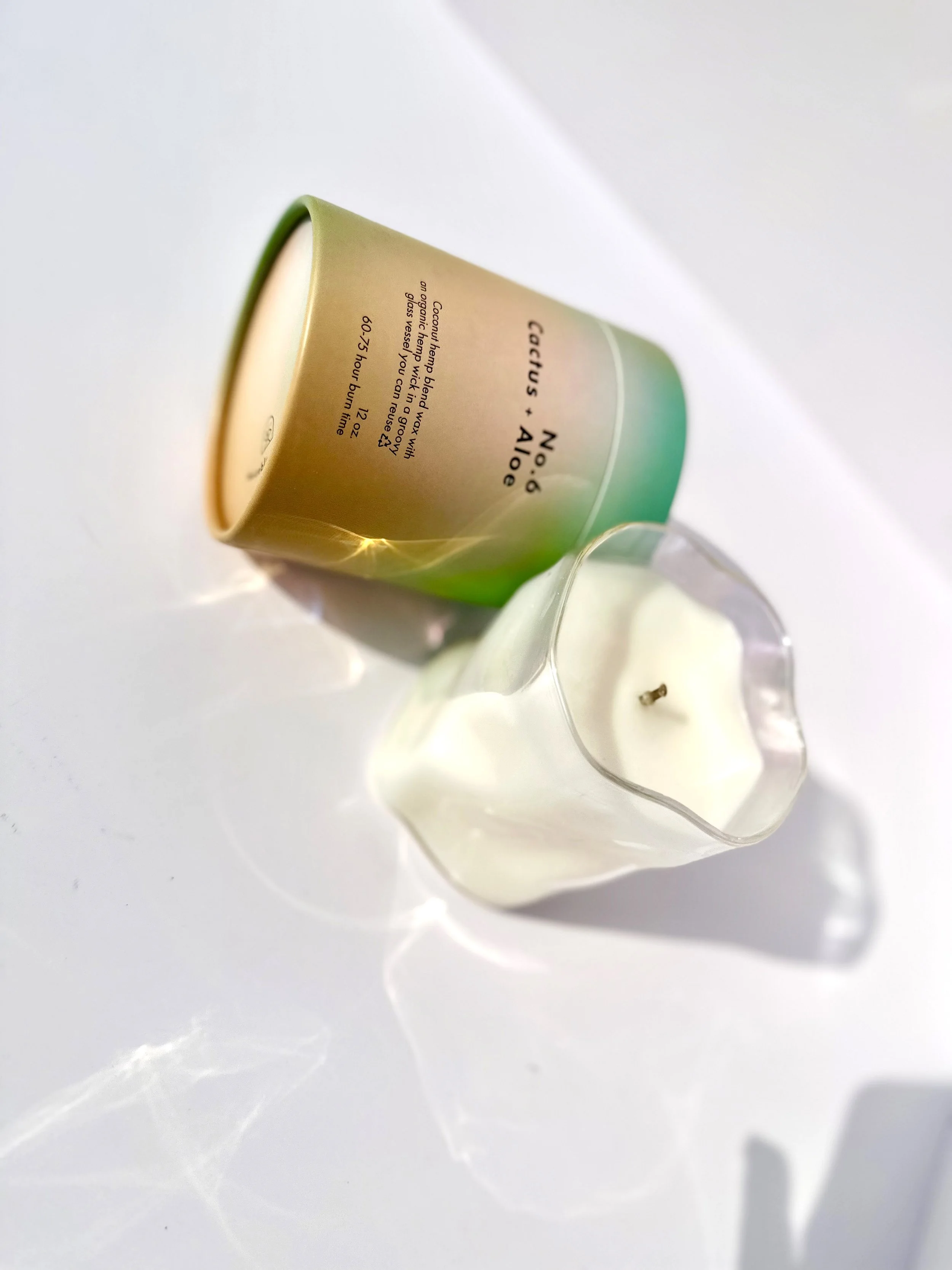 12oz No. 6 Cactus + Aloe Candle2.jpeg