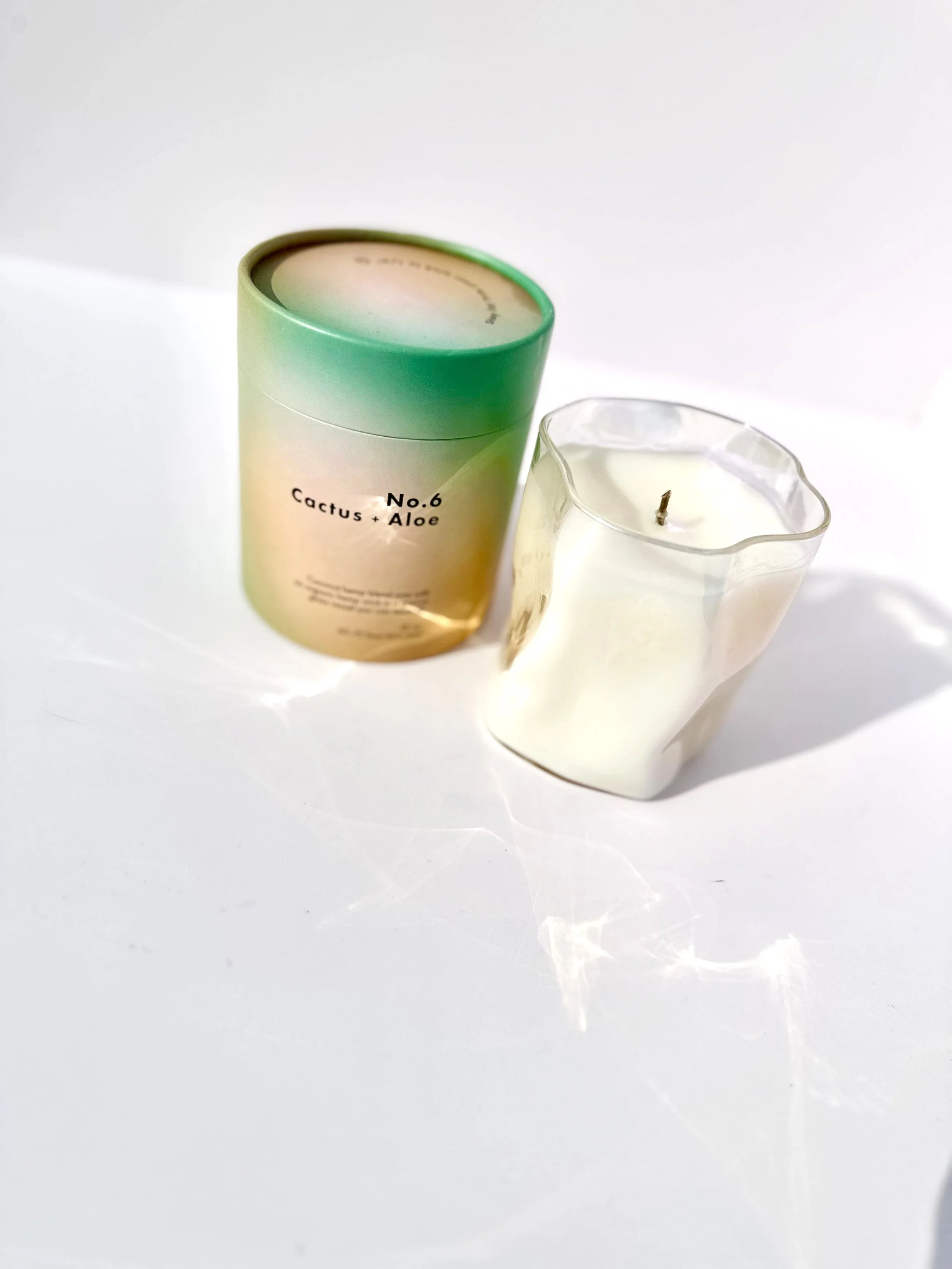 12 oz. No. 6 Cactus + Aloe Candle