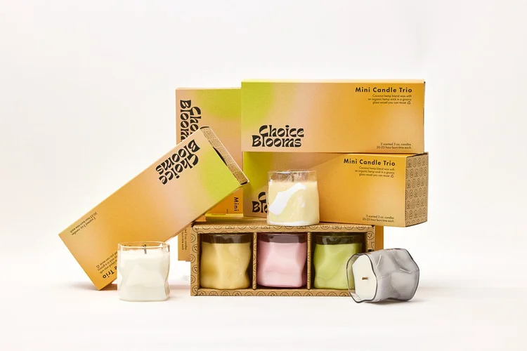Choice Blooms Room Freshener kits – Long-Lasting Home Fragrance