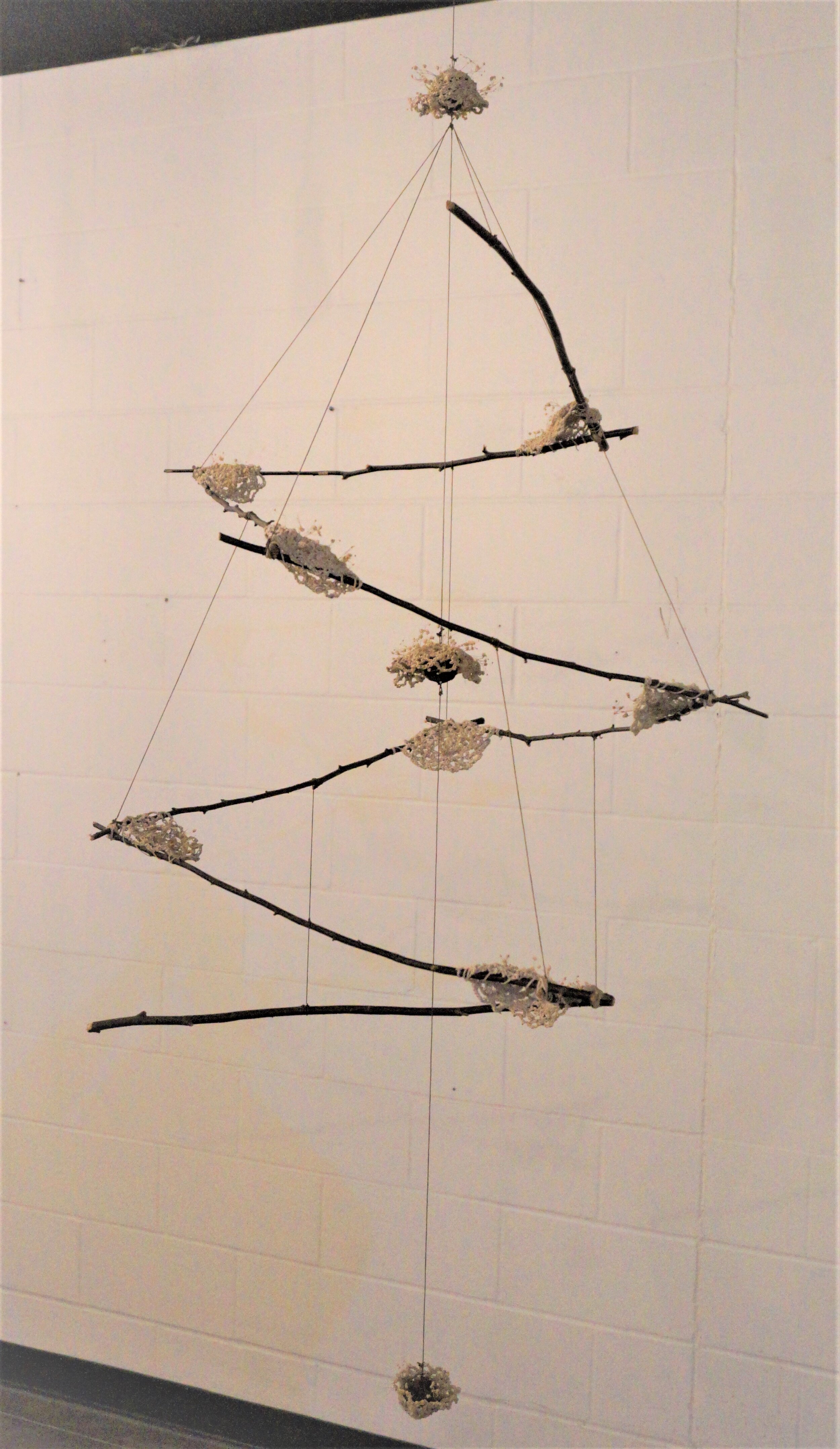 Tether Me to Elegance (2).jpg