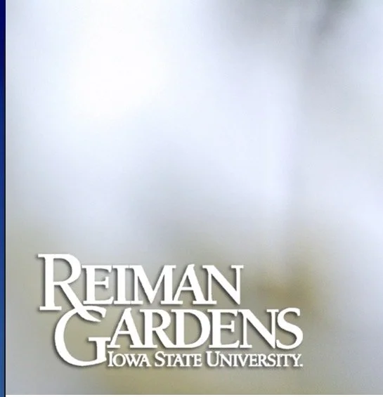 Spring Enchantment Festival