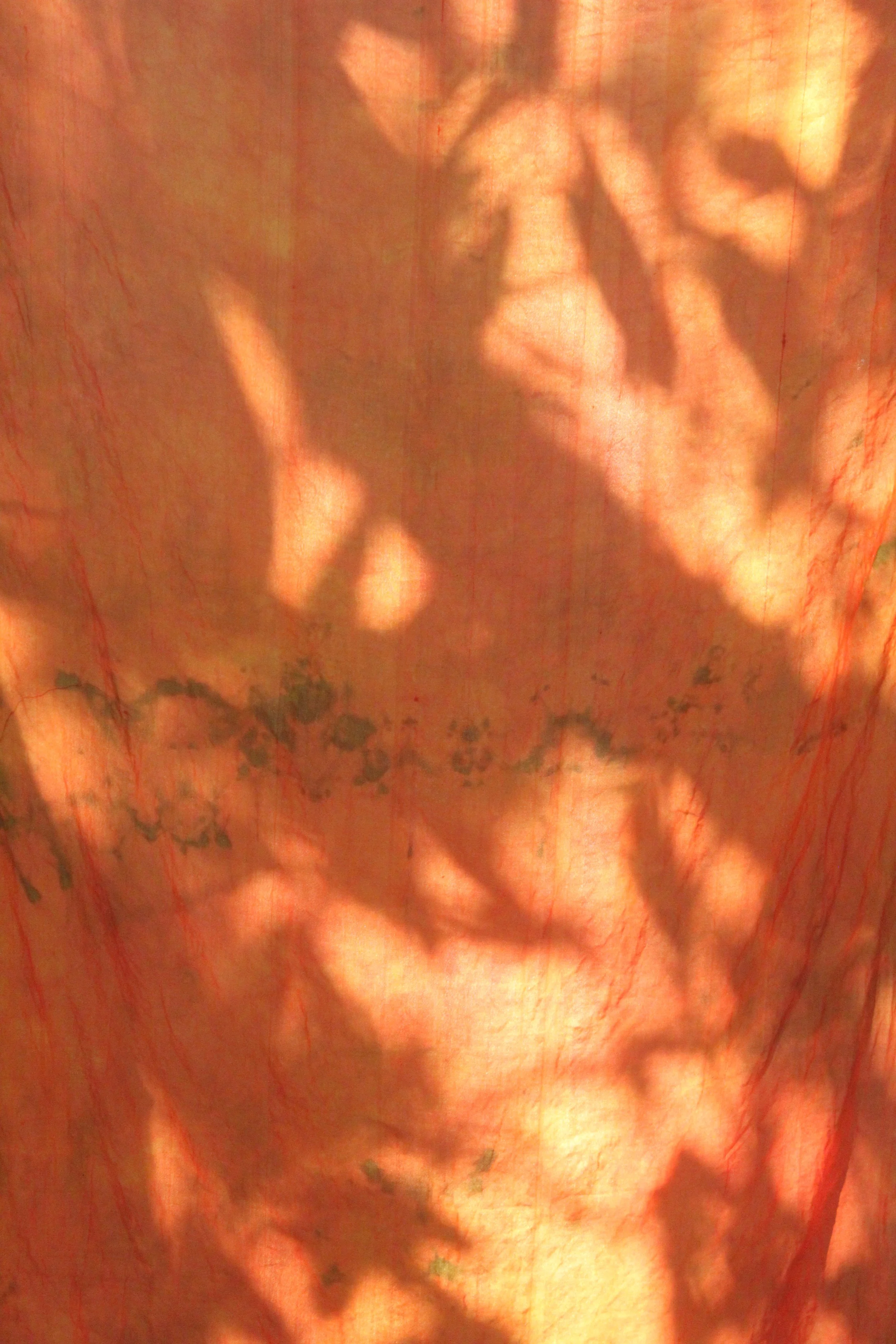 Instructions To Watch Video (AUDIO)