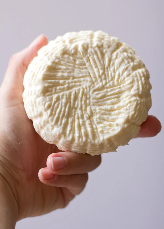 Holding-Camembert-Weaved-1-of-1.jpg