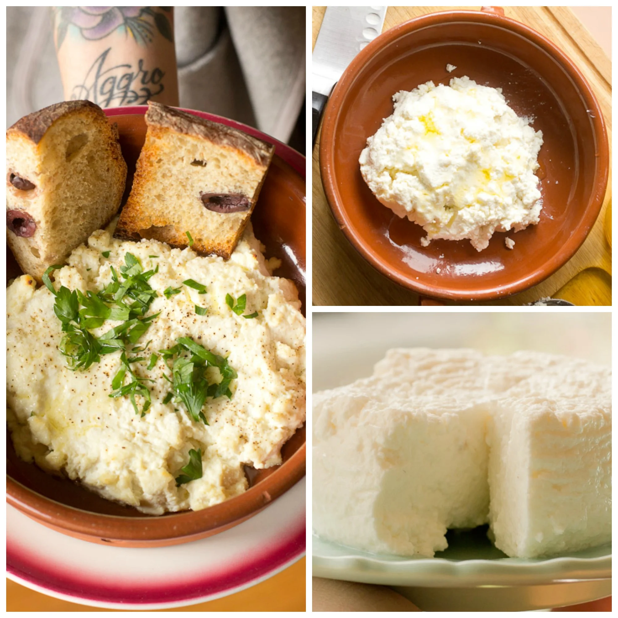 Berkeley cheesemaking class- fresh dairy love