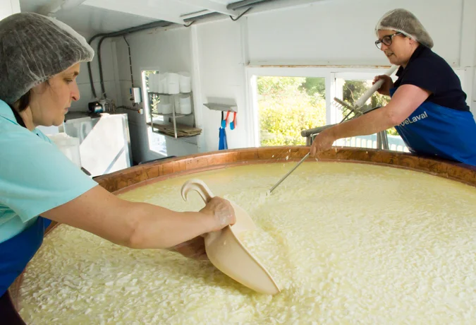Irish cheese maker Jeffa of Durrus on right, stirring the curds.