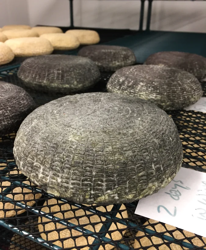 What happens when you brine her cheese in local wine? Sarah will let you know.