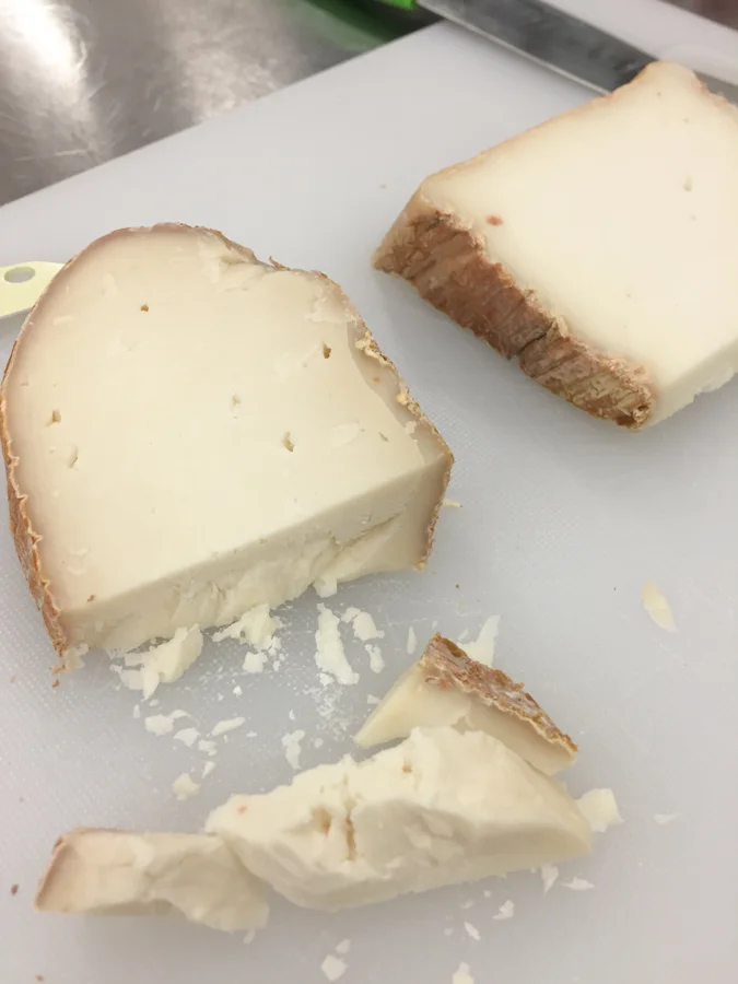 Close up of two Carena’s- one raw milk (the crumbly, older guy), one pasteurized.