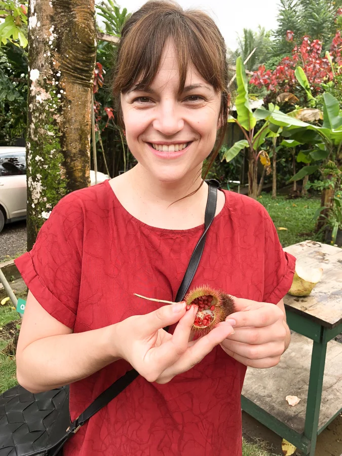 Kirsitn-Annatto-Jamaica-2.jpg