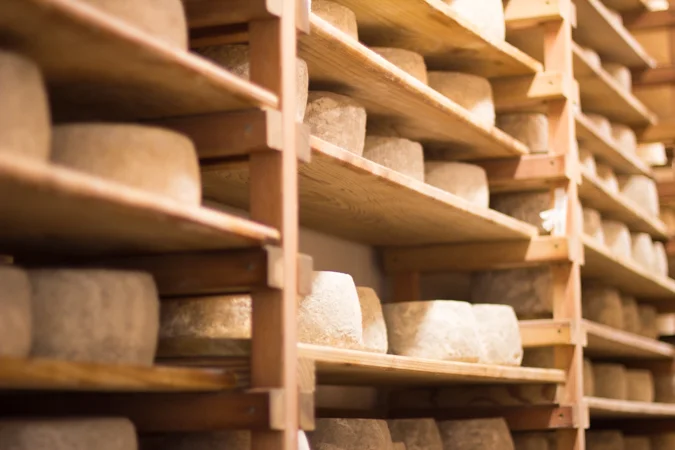 Achadinha Creamery Tour: Visiting Sonoma's Makers on the Cheese Trail