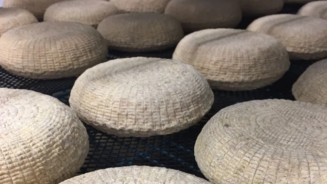 Oregon's Dundee Hills: A Delicious Briar Rose Cheese Sandwich
