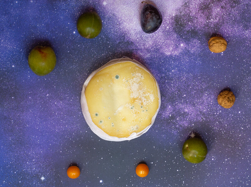 Ovelha solar system circle-6217.jpg