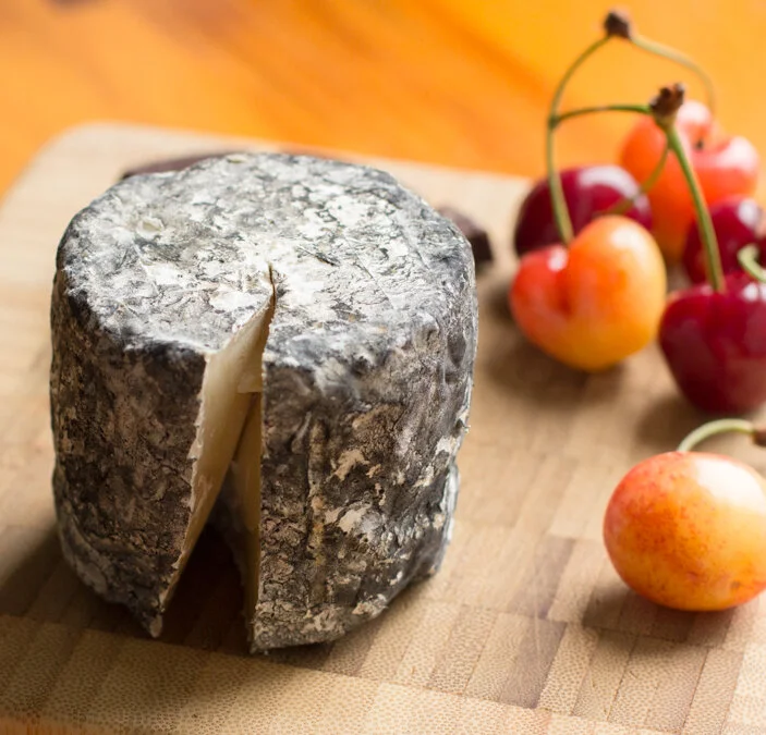 A Very Cheesy Valentine!