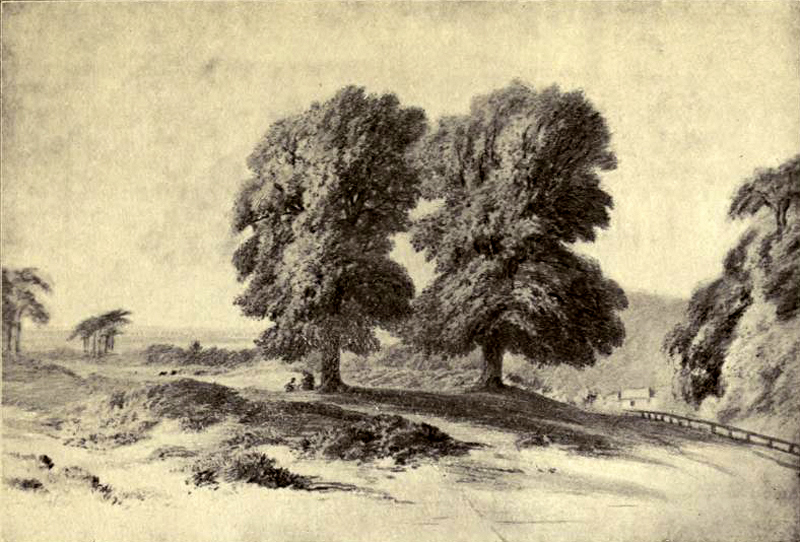 1800s The Gibbet Trees, North End.jpg