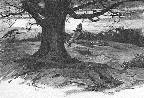 1881 Gibbet Elm.jpg