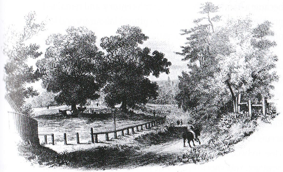 1792 North End Way, Gibbet Trees.jpg