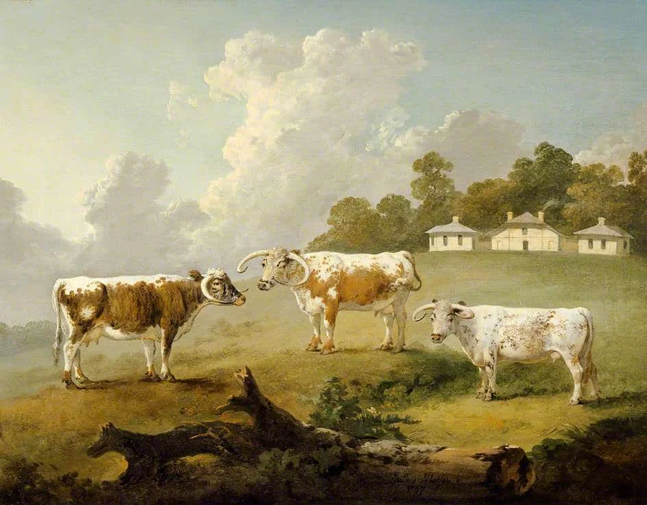 1797 Three LongHorned Cattle at Kenwood, Julius Caesar Ibbetson.jpg