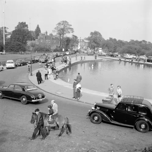 1950s Whitestone Pond donkey rides (2).jpg