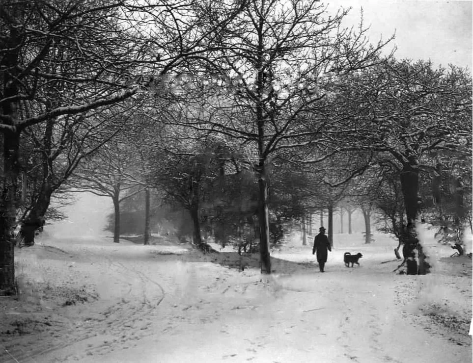 1927 man and dog in snowy scene on Hampstead Heath.JPG
