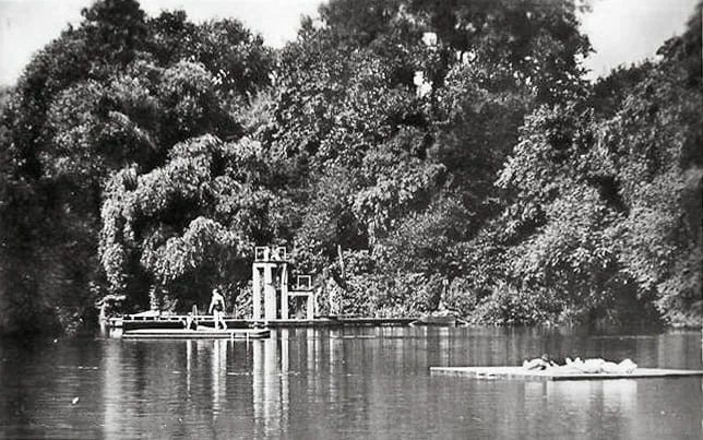 1930s Bathing Pond, Hampstead Ponds.jpg
