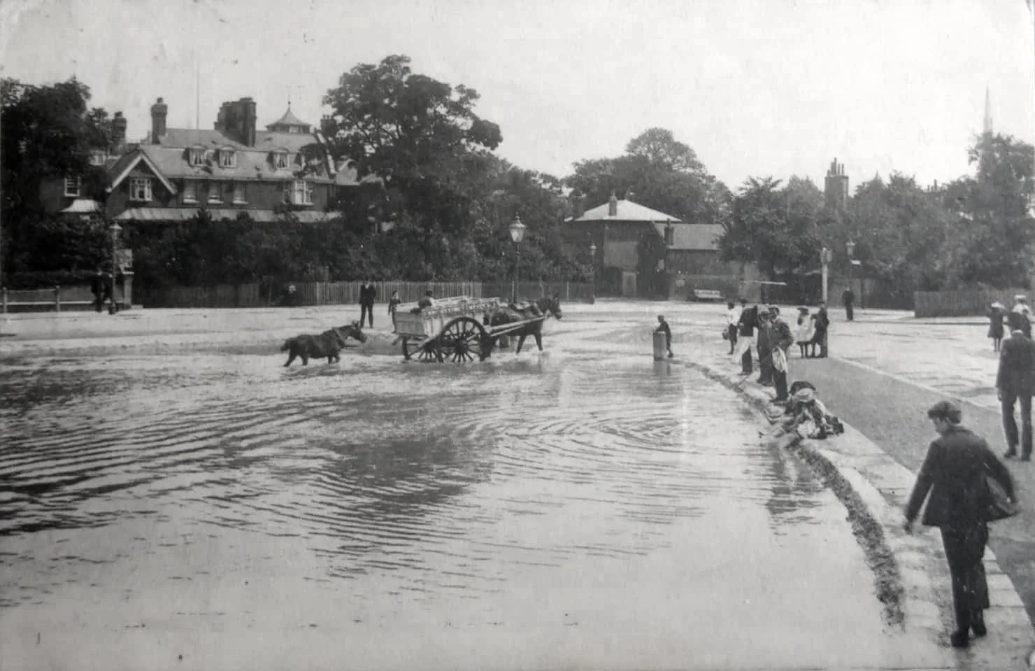 1907 Whitestone Pond.JPG