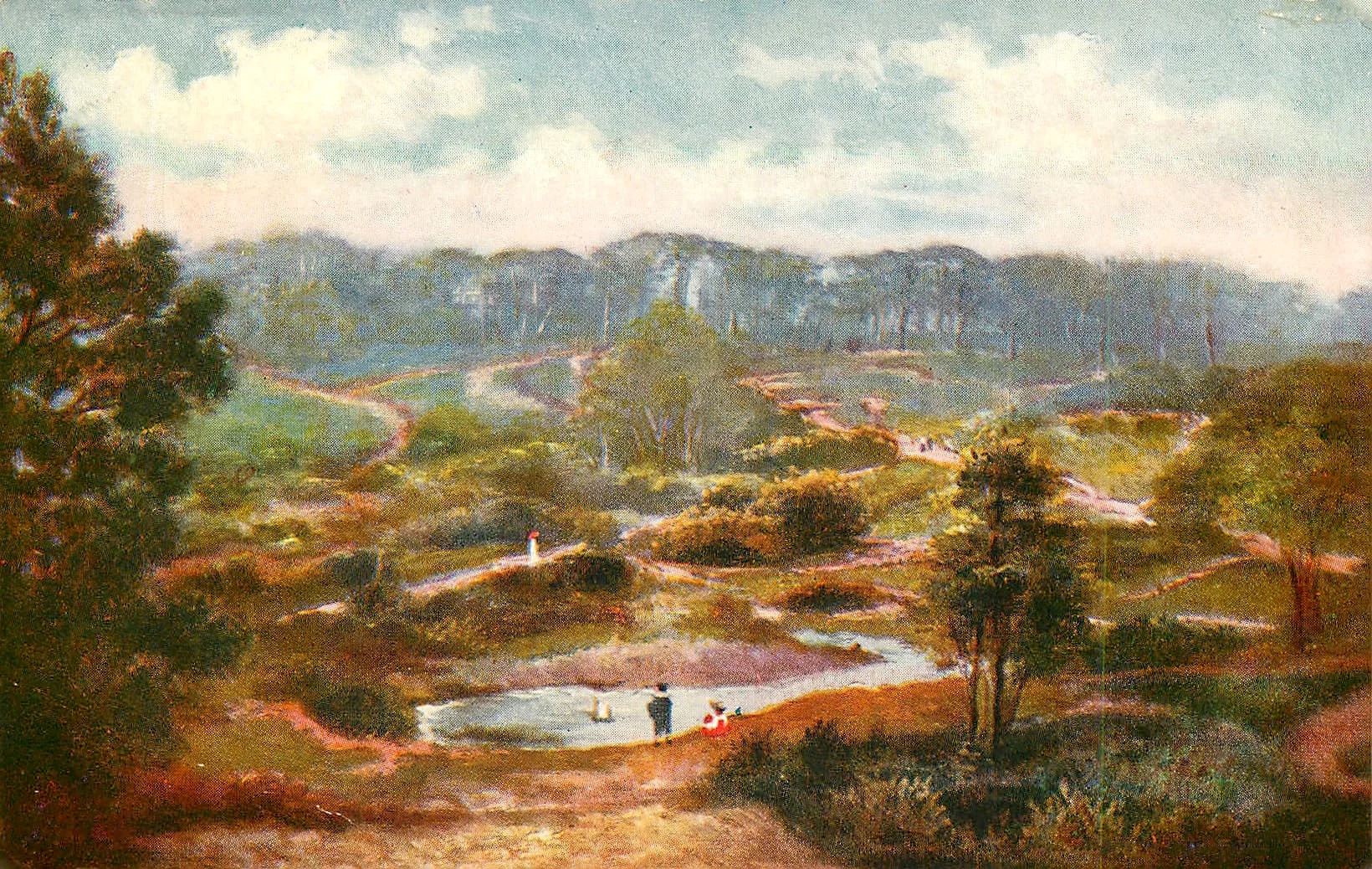 1904, The Firs.jpg