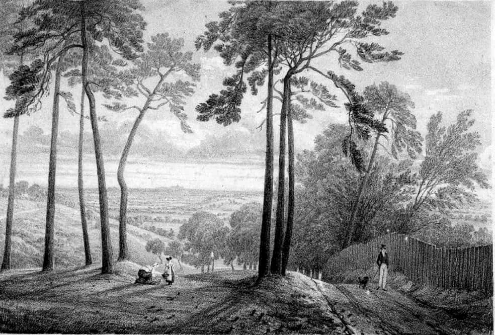 1822 View from the fir trees Hampstead Heath.jpg