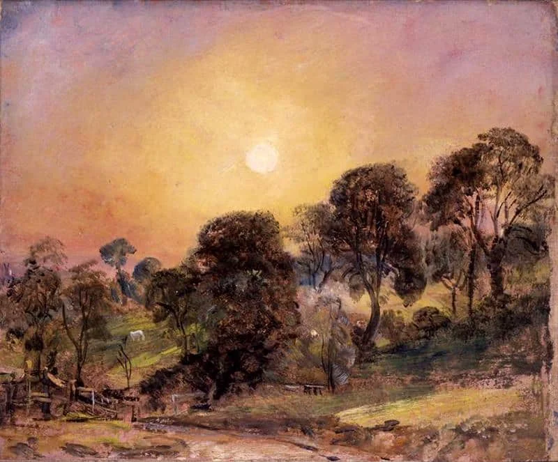 Trees-on-Hampstead-Heath-at-Sunset-large.jpg