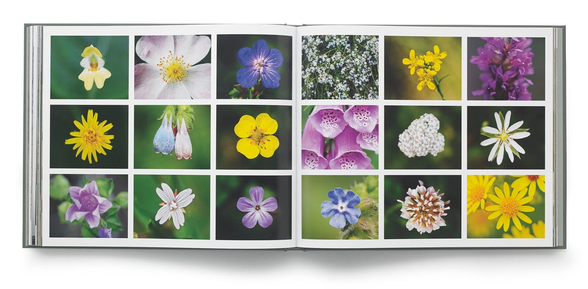 spread11LowRes+%281%29.jpg