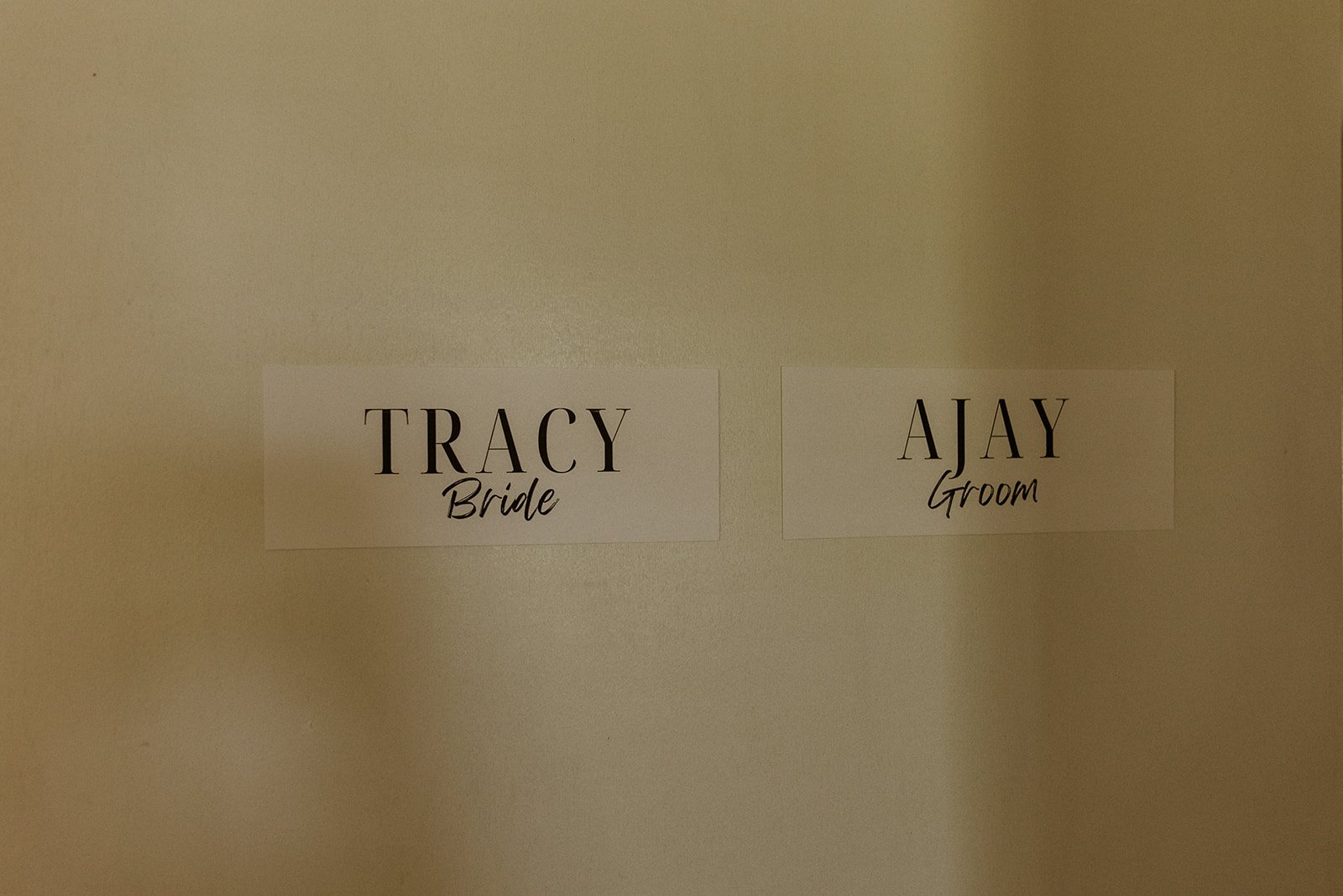 Tracy and Ajay Wedding Day!-2.jpg