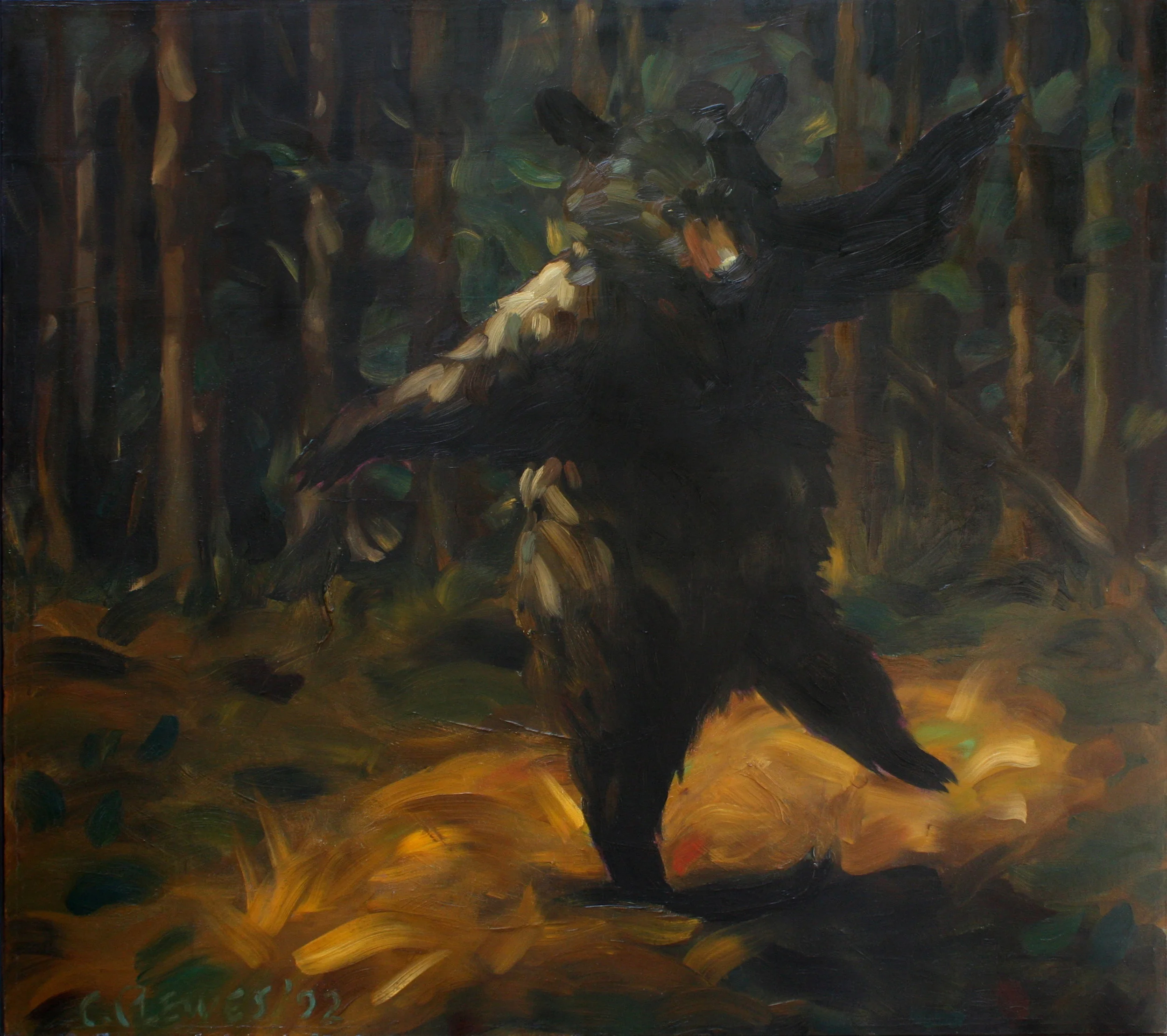 Dancing Bear.JPG