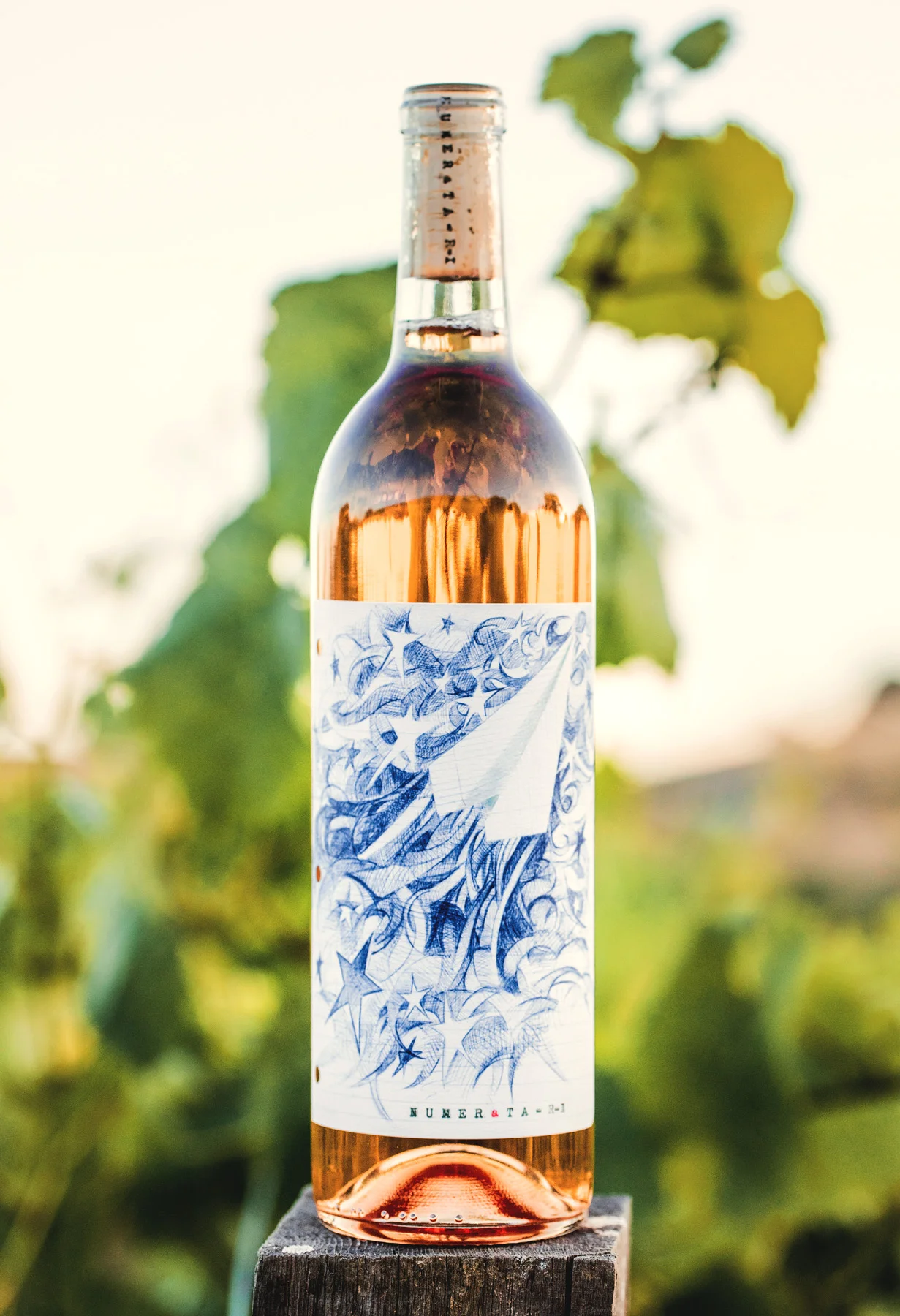 2016 Rose of Pinot Noir