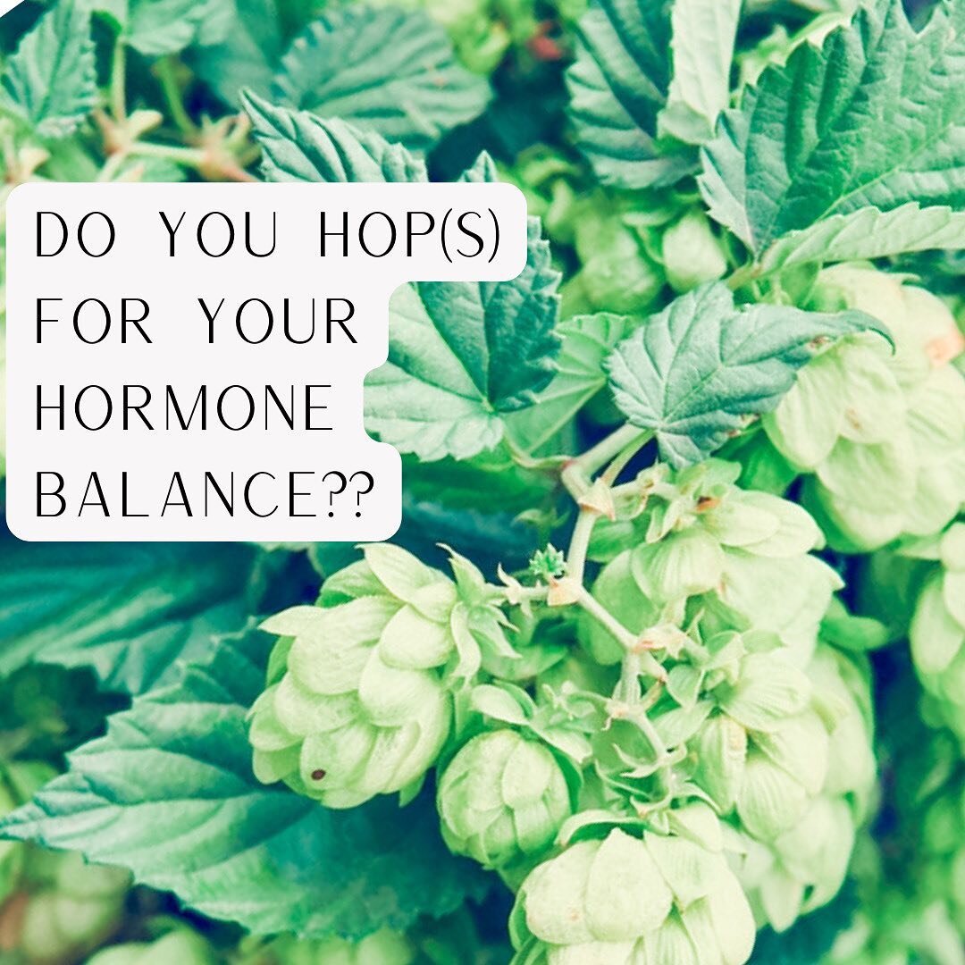 All hopped up on hops?? 

Whether you&rsquo;ve got one foot in perimenopause or just have a lot of PMS before your cycle you should know about the hormone benefits of hops. 

They are one of the most phyto estrogenic (plant estrogen) plants that we k