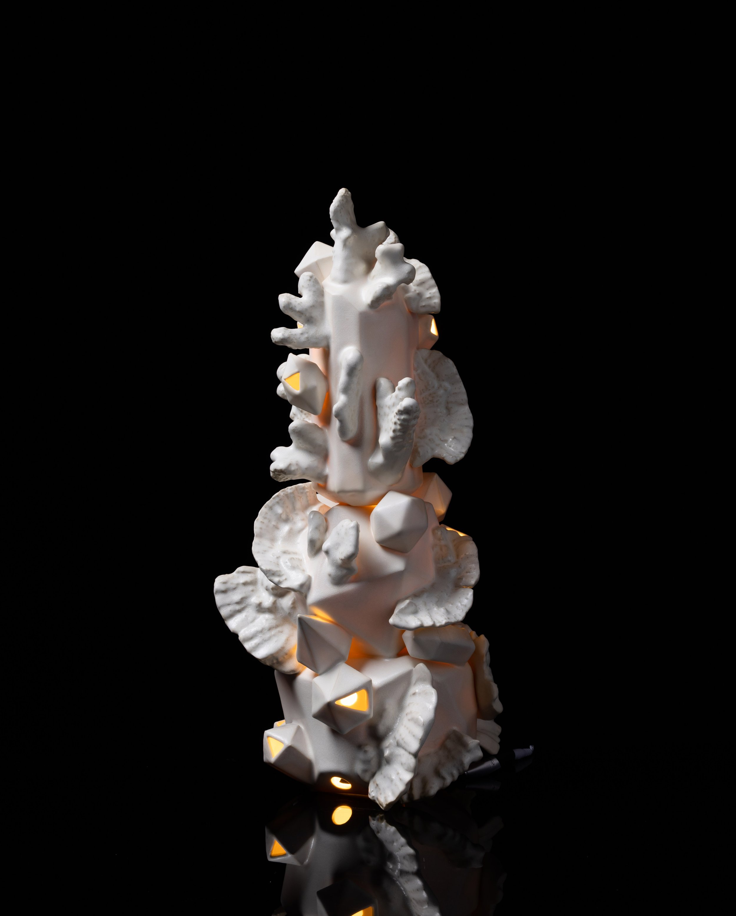 Crystal Coral Lamp_4black.jpg