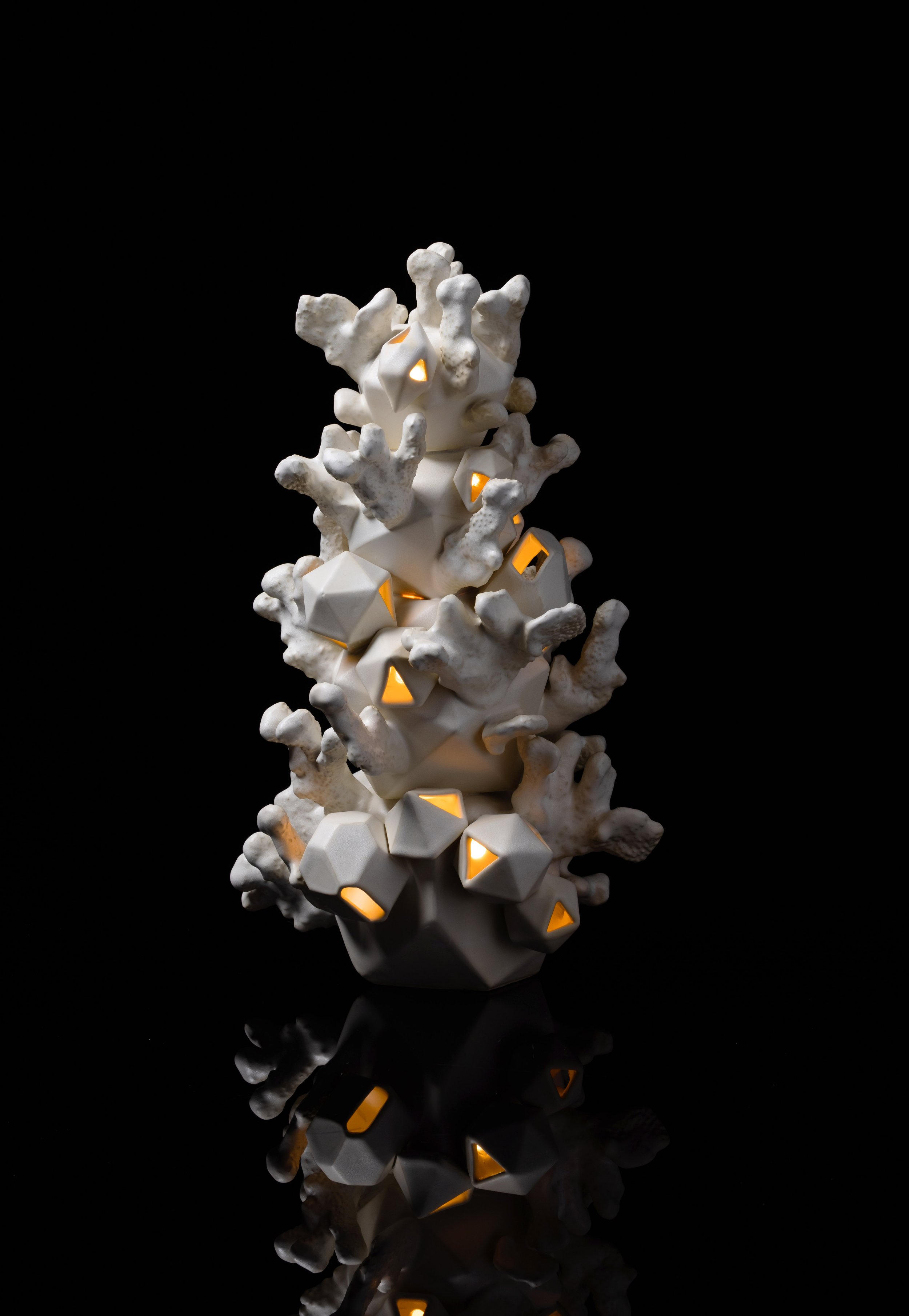 Crystal Coral Lamp_5.jpg