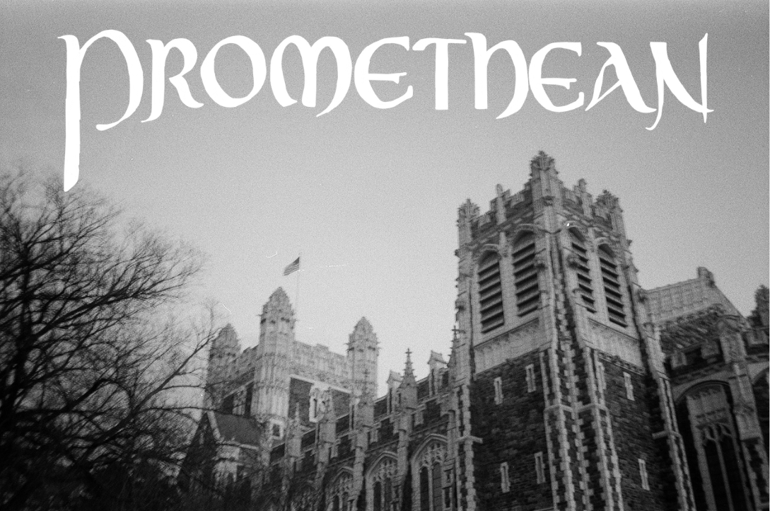 Untitled design (3).png