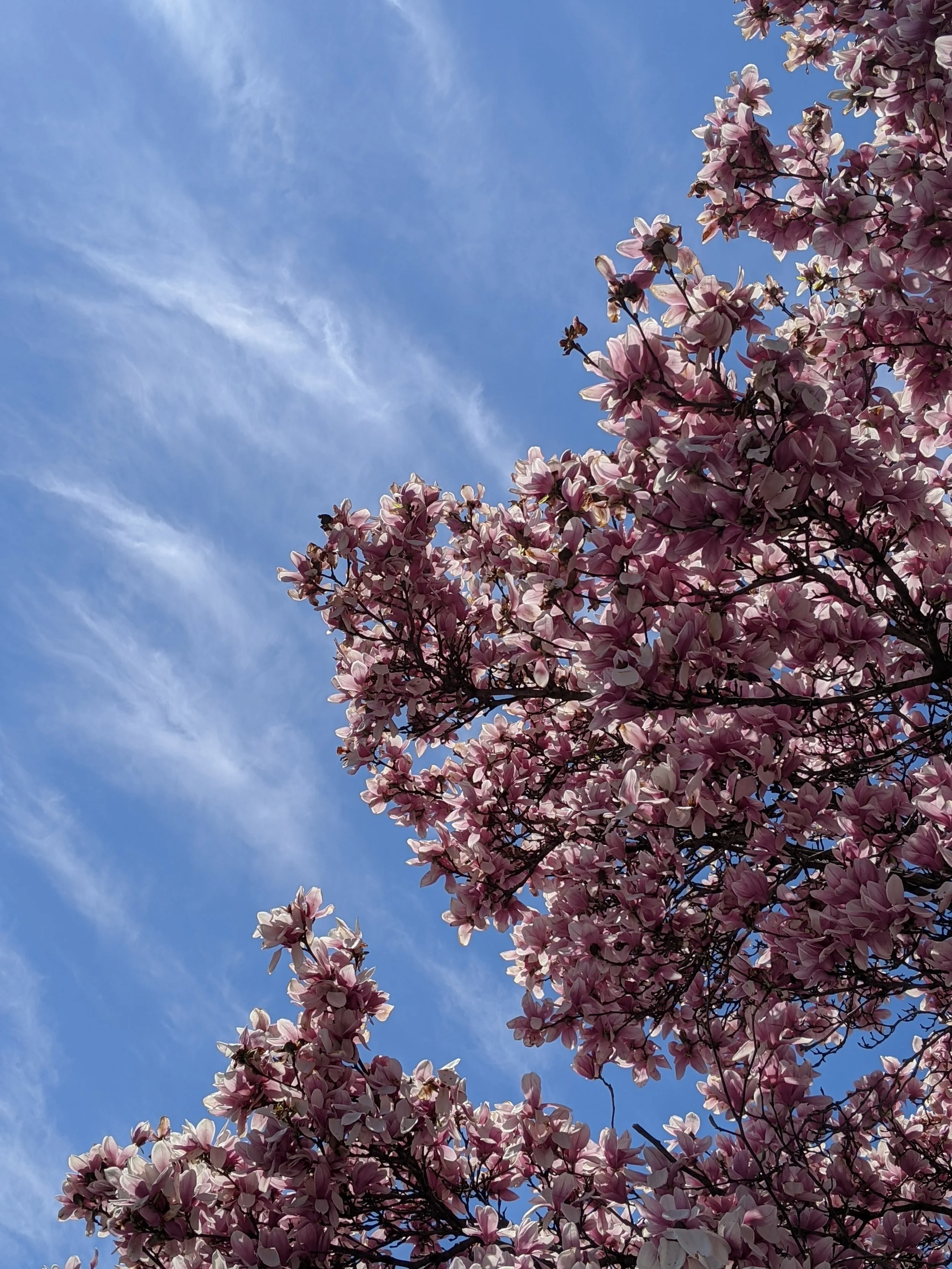 Ode to the First Warm Day in Brooklyn