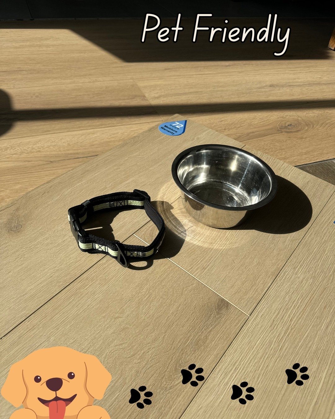 πΎ TIP TUESDAY: Pet mess? No stress. πΎ
πΆSpills, scratches, and muddy paws? No problem.
Our laminate flooring is built for real life — and real pets.
Durable, easy to clean, and totally pet friendly. πΎ
Perfect for every four-legged family m