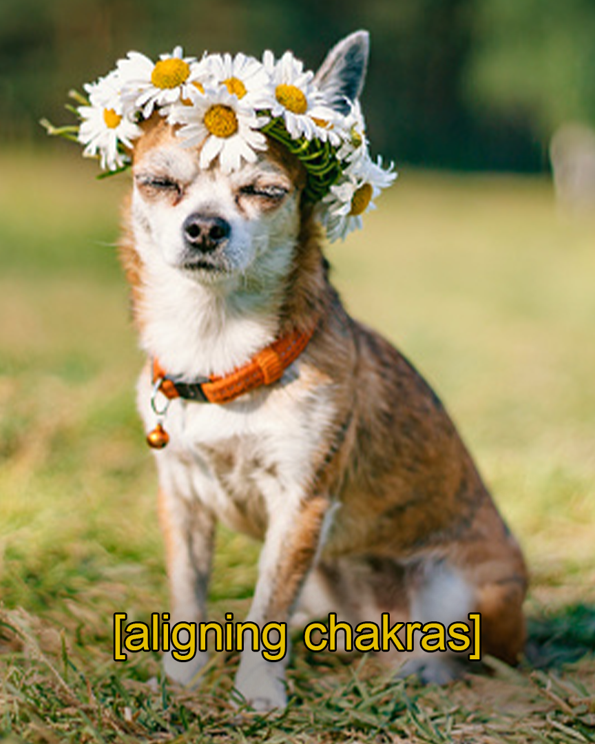 SuperblySubtitled_Final.png